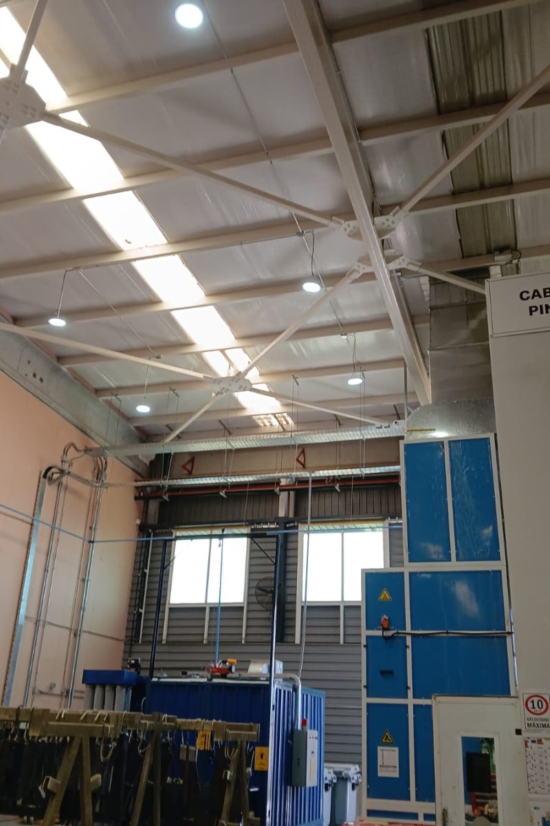 WhatsApp Image 2025-10-02 at 2.20.48 PM