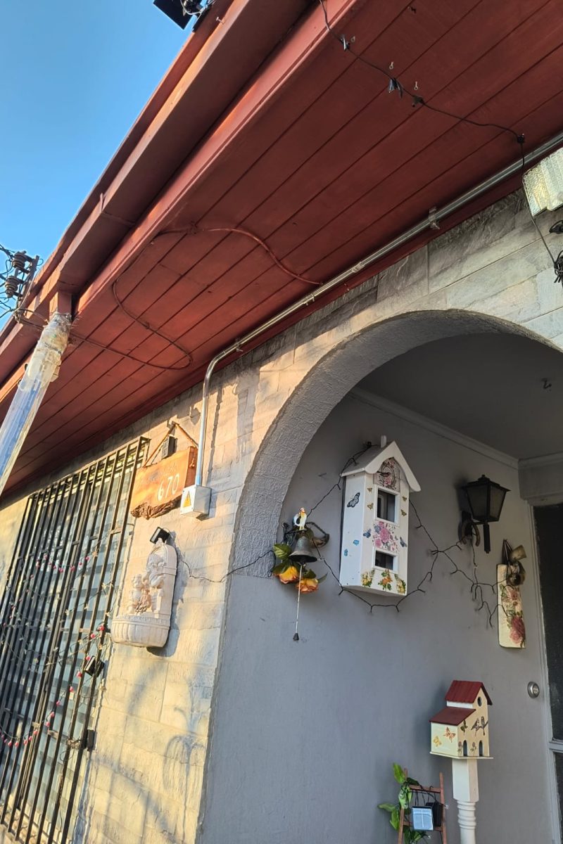 WhatsApp Image 2025-10-14 at 1.56.56 PM